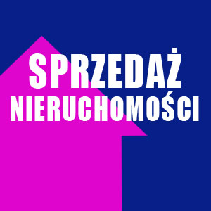 Dlaczego warto zaufać profesjonalnemu agentowi nieruchomości