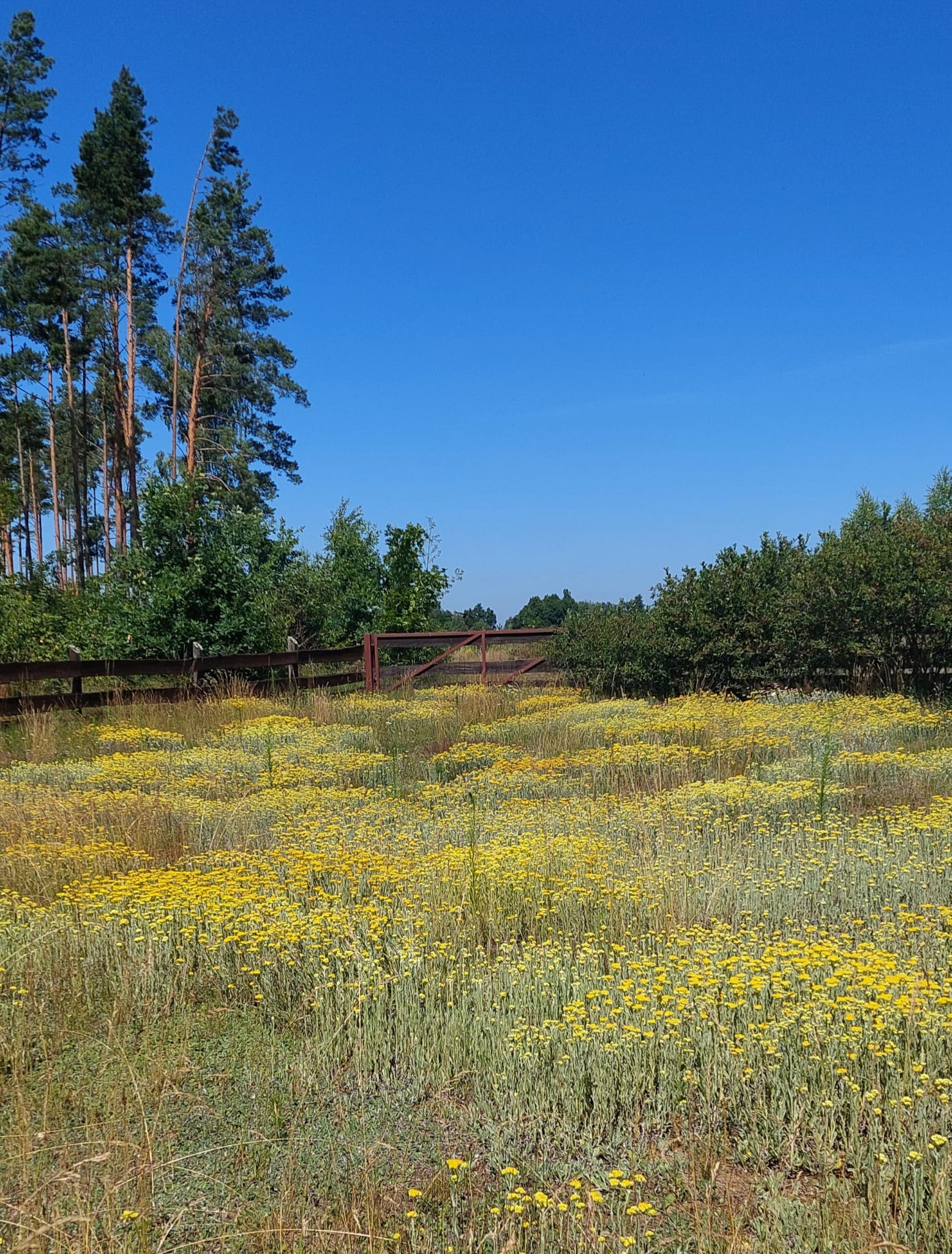 Dom 121 m2 4 pokoje Młynki Rytel - zdjęcie 9